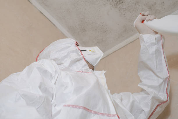 Professional Mold Removal in Purcell, OK